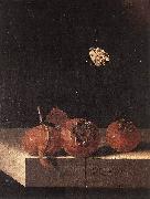 Three Medlars with a Butterfly df COORTE, Adriaen